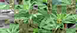 6108677802 e8859f5586 o 1