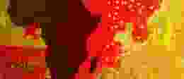 Africa Europe Gradient 1