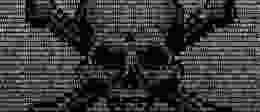Digital skull and crossbones Gradient