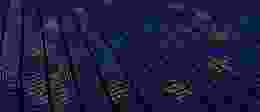 EU Flag Binary Edited