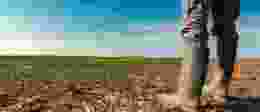 Field