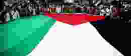 Palestine Rally Edited