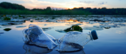 Plastic pollution