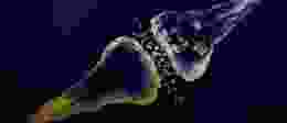 Synapse Gradient scaled e1634832375279