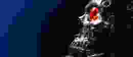 Terminator Black Edited