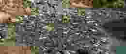 Collab media g5y U Cn Pd7 D0 unsplash