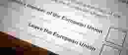 Eu ballot paper