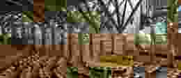 Maja r h A Ey Ttk R Cx M unsplash