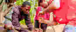 Shutterstock 1245227983