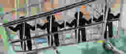 Shutterstock 1313557091