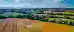 Shutterstock 1338675086 1