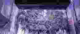 Shutterstock 1562451394 1