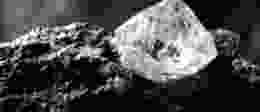 Shutterstock 1608584494 1