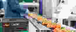 Shutterstock 1866091186 1