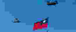 Shutterstock 2050911293 1