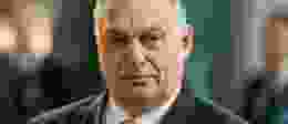 Shutterstock 2139268667 1