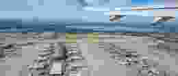 Shutterstock 2506722765