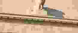 Shutterstock 252382810 3 1