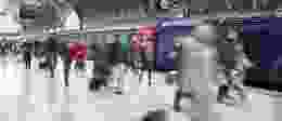Shutterstock 49412986 1