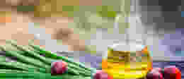 Shutterstock 663056218