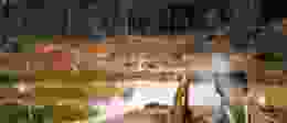 Shutterstock 702873796 1