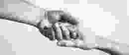 Shutterstock 730330051