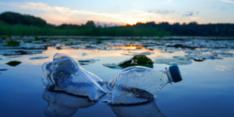 Plastic pollution