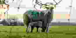 Ben collins xx Jbm Fb7rn I unsplash