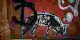 Jon tyson Svng0 Hk Wh1 Y unsplash