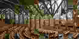 Maja r h A Ey Ttk R Cx M unsplash