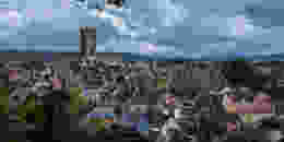 Shutterstock 1366759559