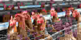 Shutterstock 1724075230