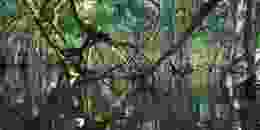 Timothy k 1 Ci E1x4d HIY unsplash