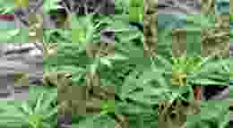 6108677802 e8859f5586 o 1