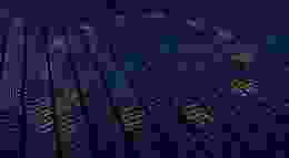 EU Flag Binary Edited