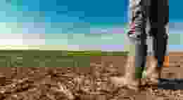 Field