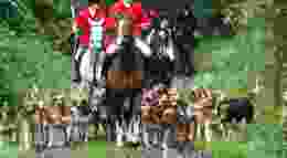 Horses and Hounds edited