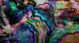 Oyster Shell Gradient