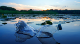 Plastic pollution