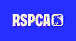 Image: RSPCA