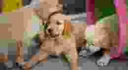 Ayla verschueren 9 Ba Rpg9 Lyzw unsplash