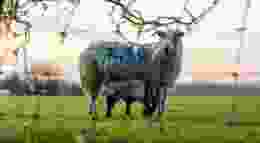 Ben collins xx Jbm Fb7rn I unsplash