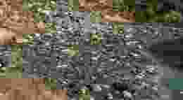 Collab media g5y U Cn Pd7 D0 unsplash