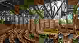 Maja r h A Ey Ttk R Cx M unsplash