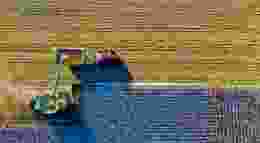 Image: Pexels / Tom Fisk