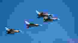 Saikrishna saketh yellapragada f1 Eo GM6 UGQY unsplash