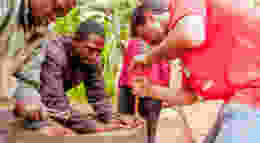 Shutterstock 1245227983