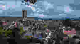 Shutterstock 1366759559