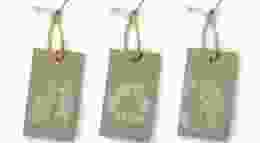 Shutterstock 1439495060 1