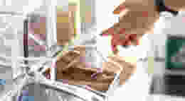 Shutterstock 1604579515